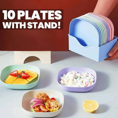 Square Plastic Dinner Plates | Set of 10 Pcs with Stand Kitchen Tools | Multi Color